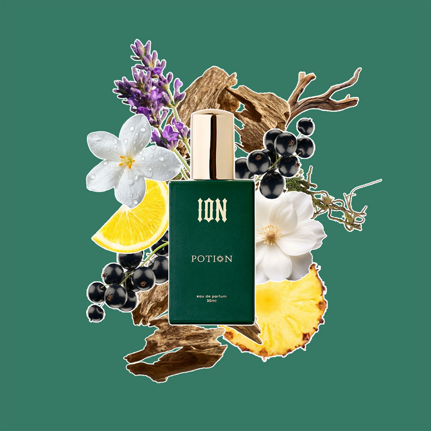 POTION