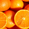 {"type":"root","children":[{"type":"paragraph","children":[{"type":"text","value":"TOP NOTE"}]},{"type":"paragraph","children":[{"type":"text","value":"ORANGE"}]},{"type":"paragraph","children":[{"type":"text","value":"HONEY"}]},{"type":"paragraph","children":[{"type":"text","value":"JASMINE"}]}]}