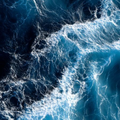 {"type":"root","children":[{"type":"paragraph","children":[{"type":"text","value":"MIDDLE NOTE"}]},{"type":"paragraph","children":[{"type":"text","value":"SEA WATER"}]},{"type":"paragraph","children":[{"type":"text","value":"VIOLET LEAF"}]},{"type":"paragraph","children":[{"type":"text","value":"PINK PEPPER"}]}]}