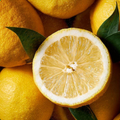 {"type":"root","children":[{"type":"paragraph","children":[{"type":"text","value":"TOP NOTE"}]},{"type":"paragraph","children":[{"type":"text","value":"LEMON"}]},{"type":"paragraph","children":[{"type":"text","value":"APPLE"}]},{"type":"paragraph","children":[{"type":"text","value":"WHITE ROSE"}]}]}